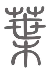 叶姓来源